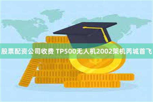 股票配资公司收费 TP500无人机2002架机芮城首飞