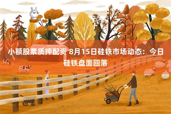 小额股票质押配资 8月15日硅铁市场动态：今日硅铁盘面回落