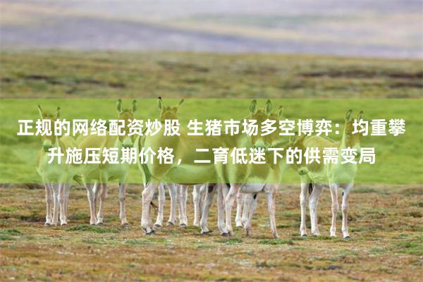 正规的网络配资炒股 生猪市场多空博弈：均重攀升施压短期价格，二育低迷下的供需变局