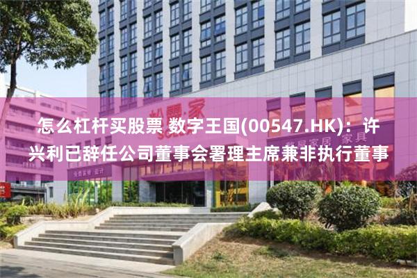 怎么杠杆买股票 数字王国(00547.HK)：许兴利已辞任公司董事会署理主席兼非执行董事