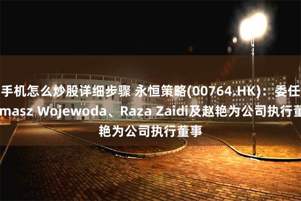 手机怎么炒股详细步骤 永恒策略(00764.HK)：委任Tomasz Wojewoda、Raza Zaidi及赵艳为公司执行董事